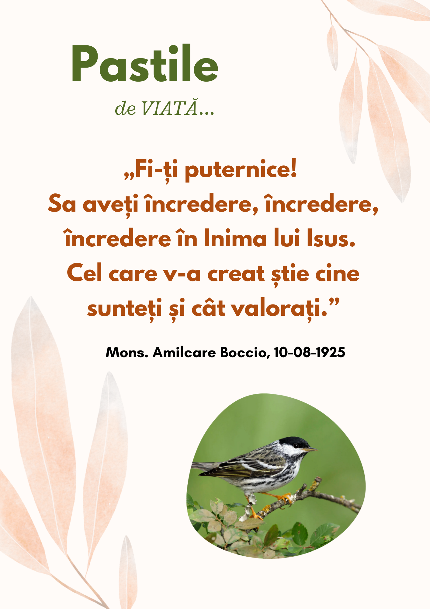 Piccole Figlie del Sacro Cuore di Ges&ugrave;